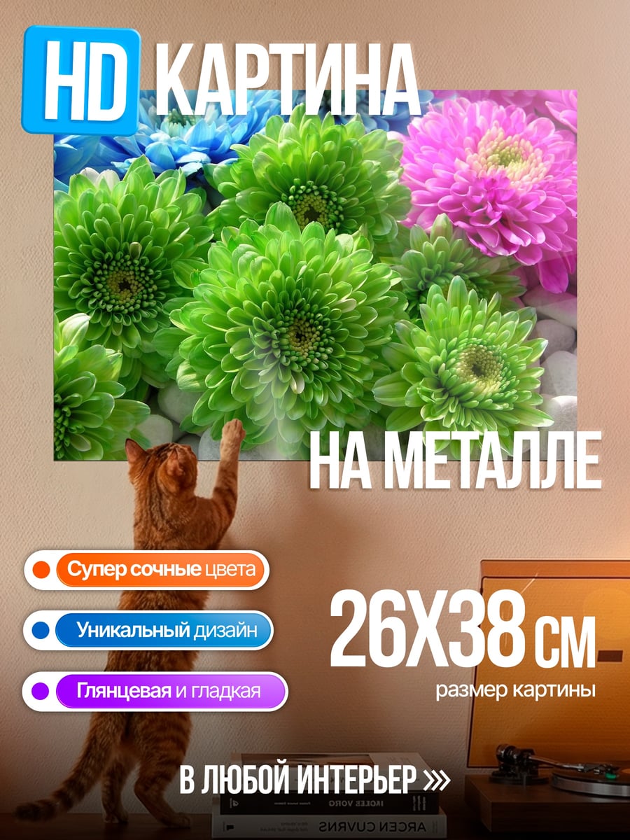 Картина на металле Яркие хризантемы