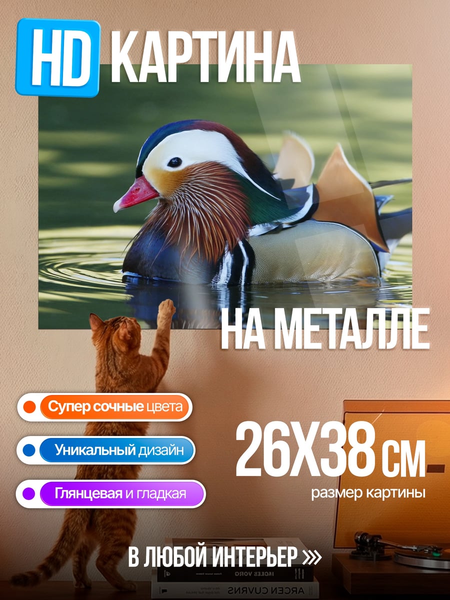 Картина на металле Утка мандаринка