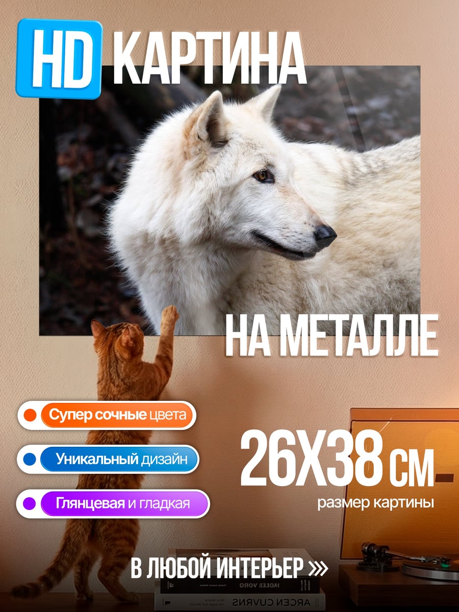 Картина на металле белый волк