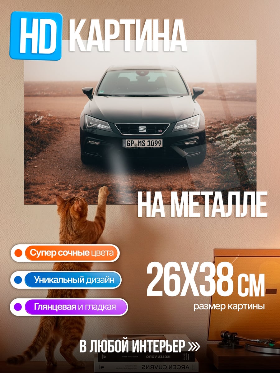 Картина на металле Черный автомобиль на дороге