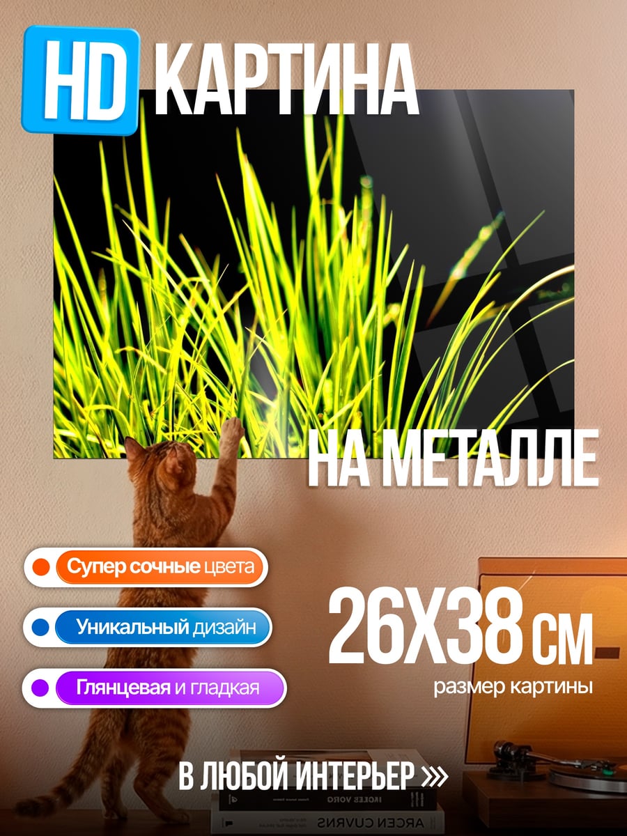 Картина на металле Зеленая трава на черном