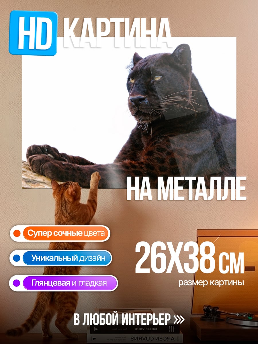 Картина на металле Черная пантера