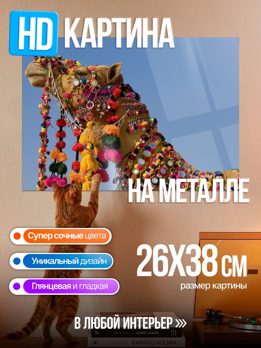 Картина на металле Верблюд украшенный