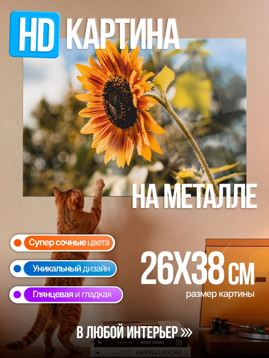 Картина на металле цветок подсолнуха крупным планом