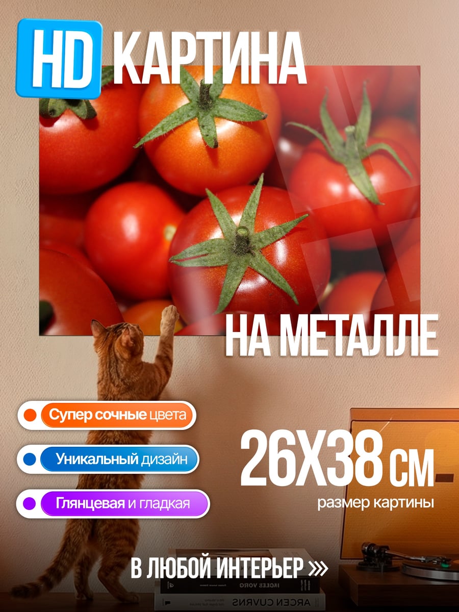 Картина на металле спелые помидоры крупным планом