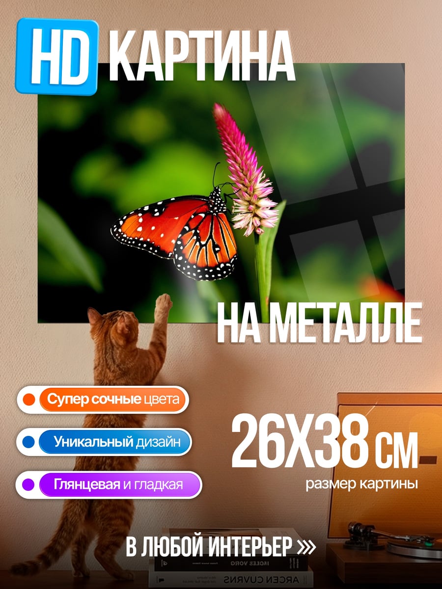 Картина на металле Оранжевая бабочка на цветке