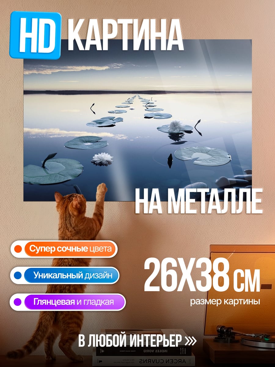 Картина на металле Дорожка из кувшинок