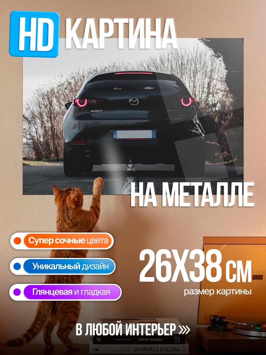 Картина на металле Черный автомобиль на дороге