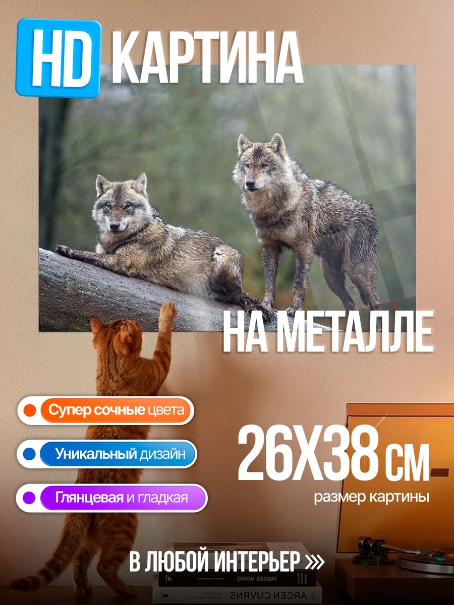 Картина на металле Два волка на дереве