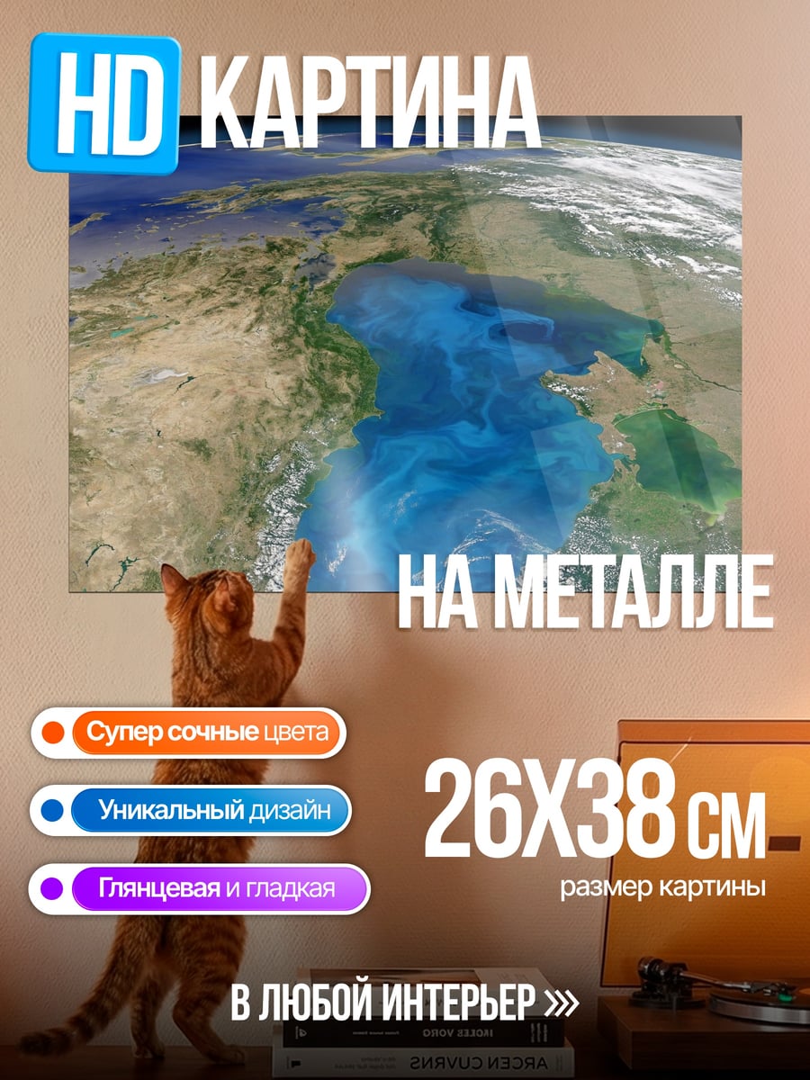 Картина на металле вид земли из космоса