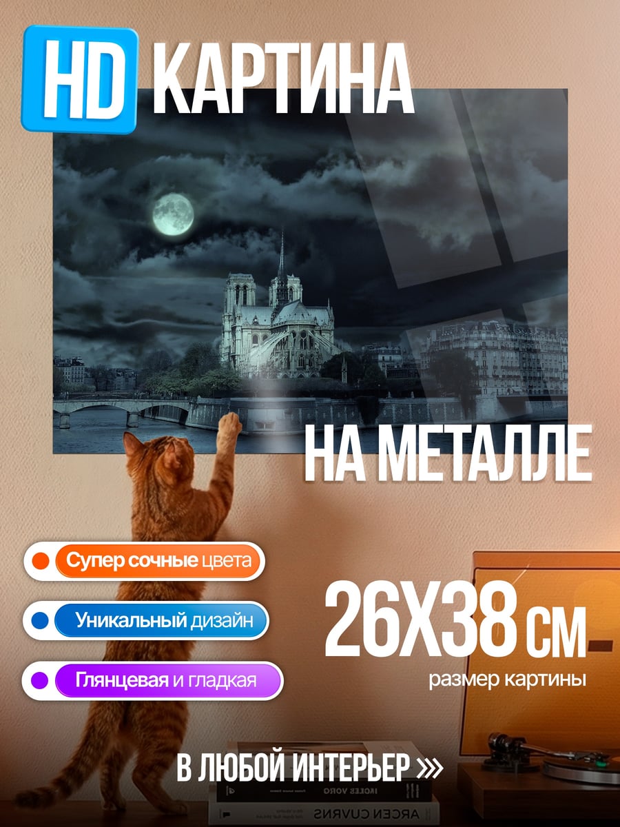 Картина на металле нотр-дам ночью