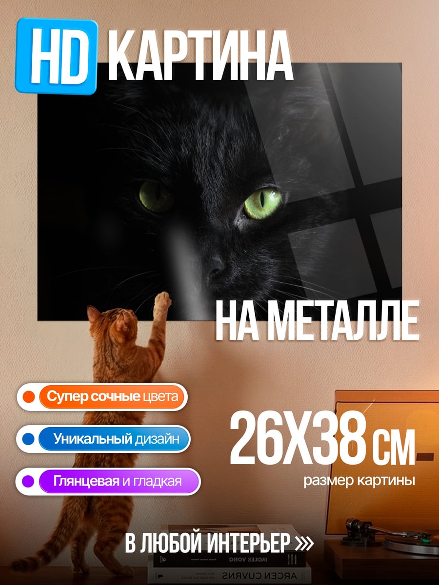 Картина на металле черный кот
