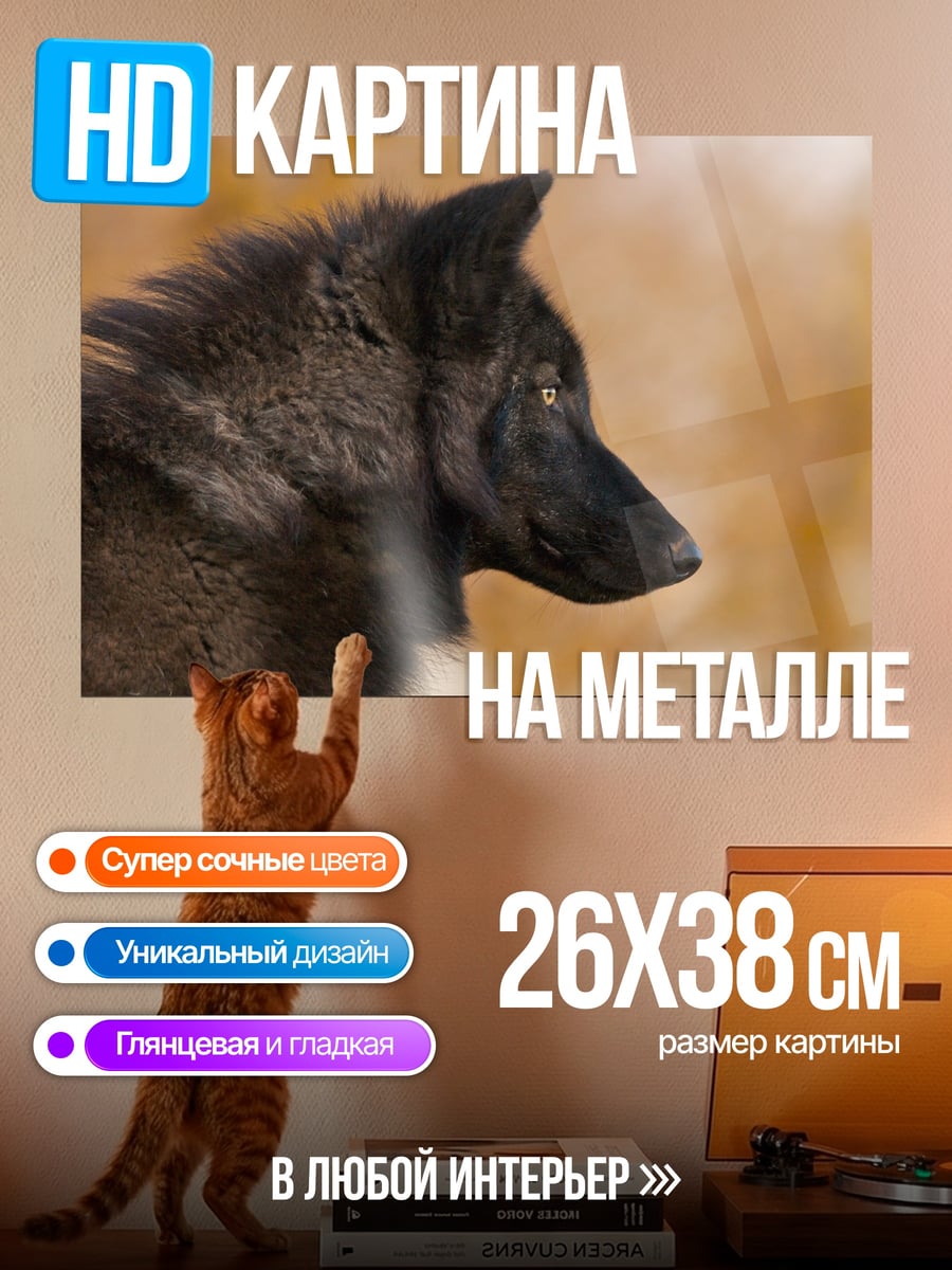 Картина на металле черный волк
