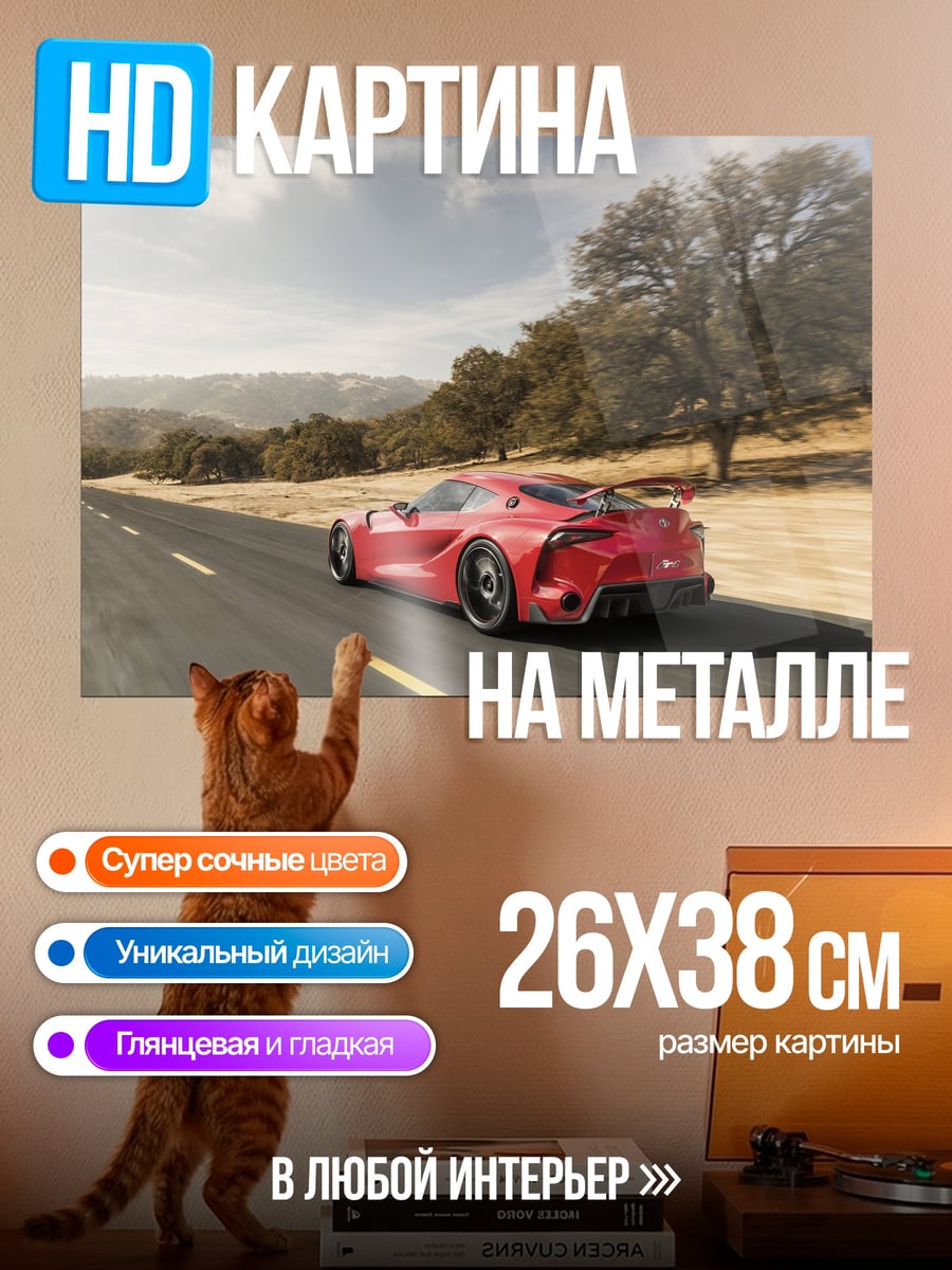 Картина на металле Красный спорткар на дороге