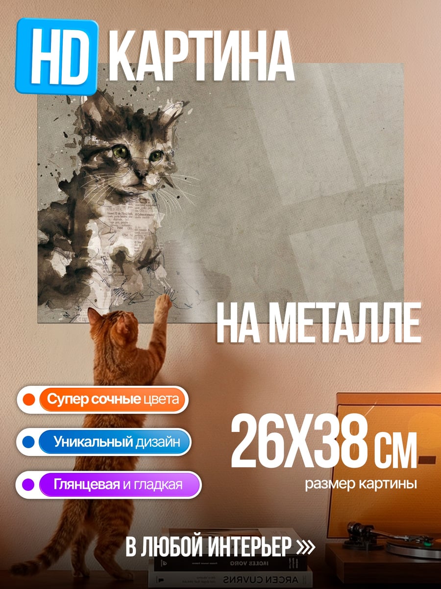 Картина на металле Котёнок в брызгах