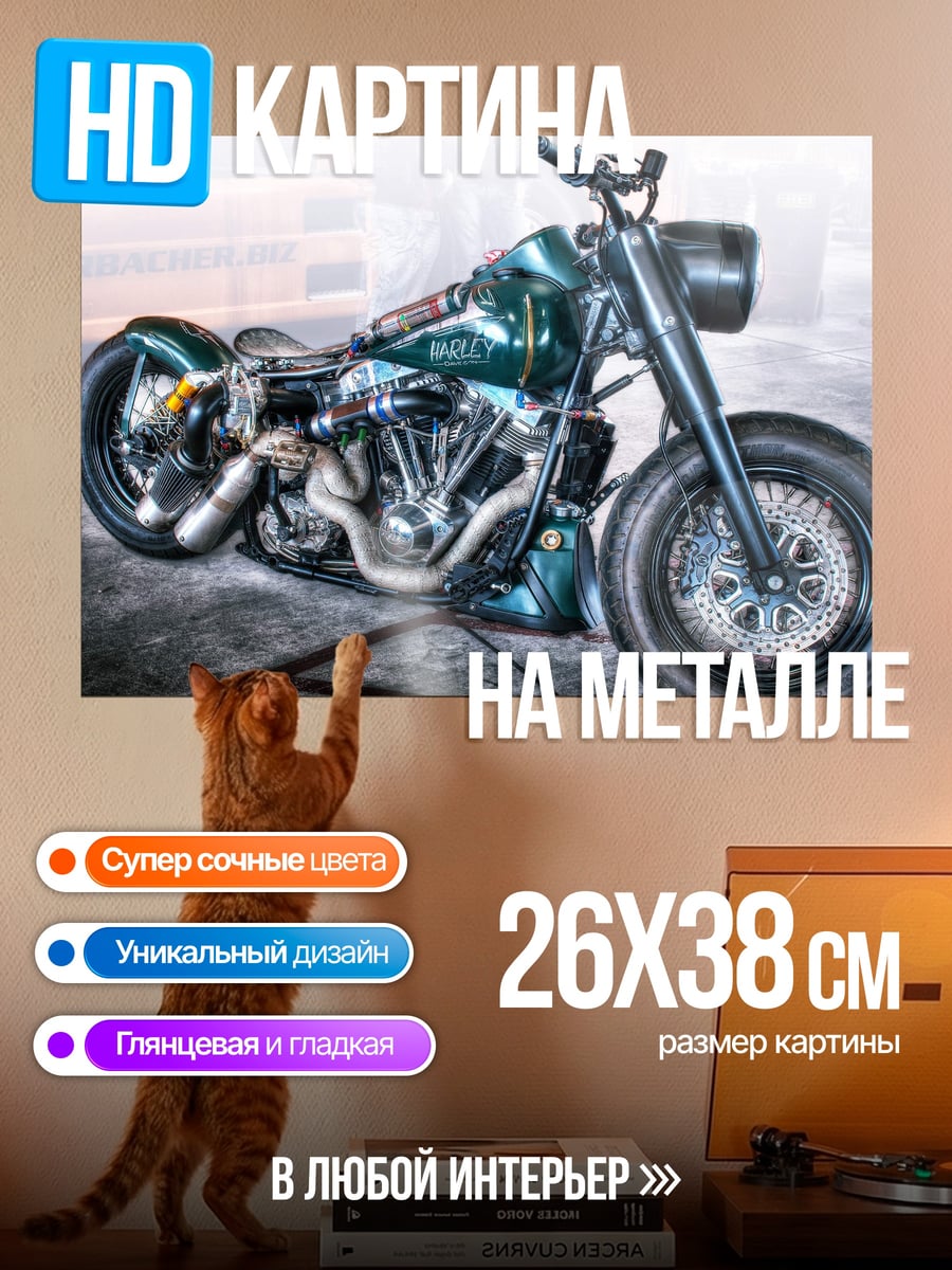 Картина на металле кастомный чоппер