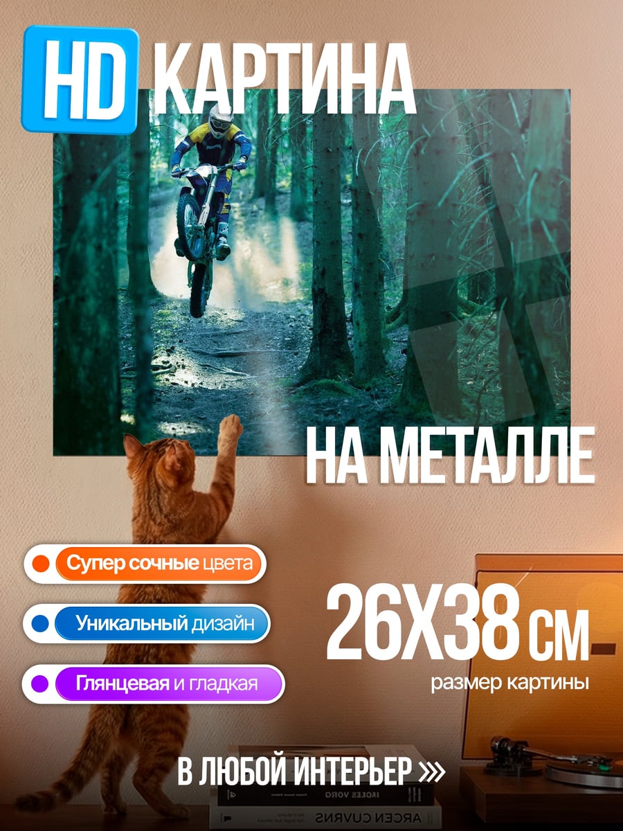 Картина на металле мотоциклист в лесу