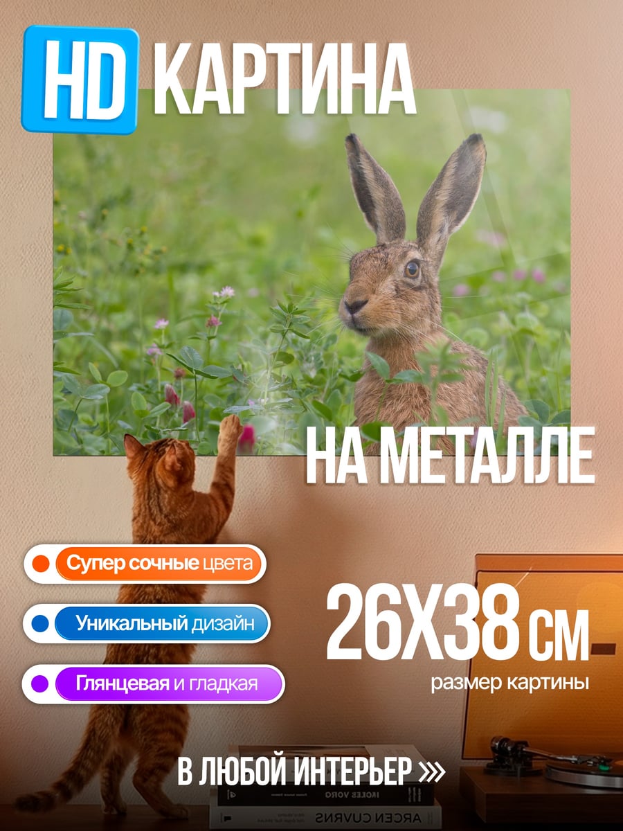 Картина на металле Заяц в траве