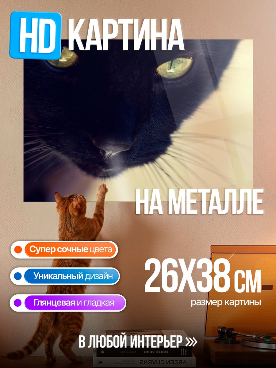 Картина на металле черный кот