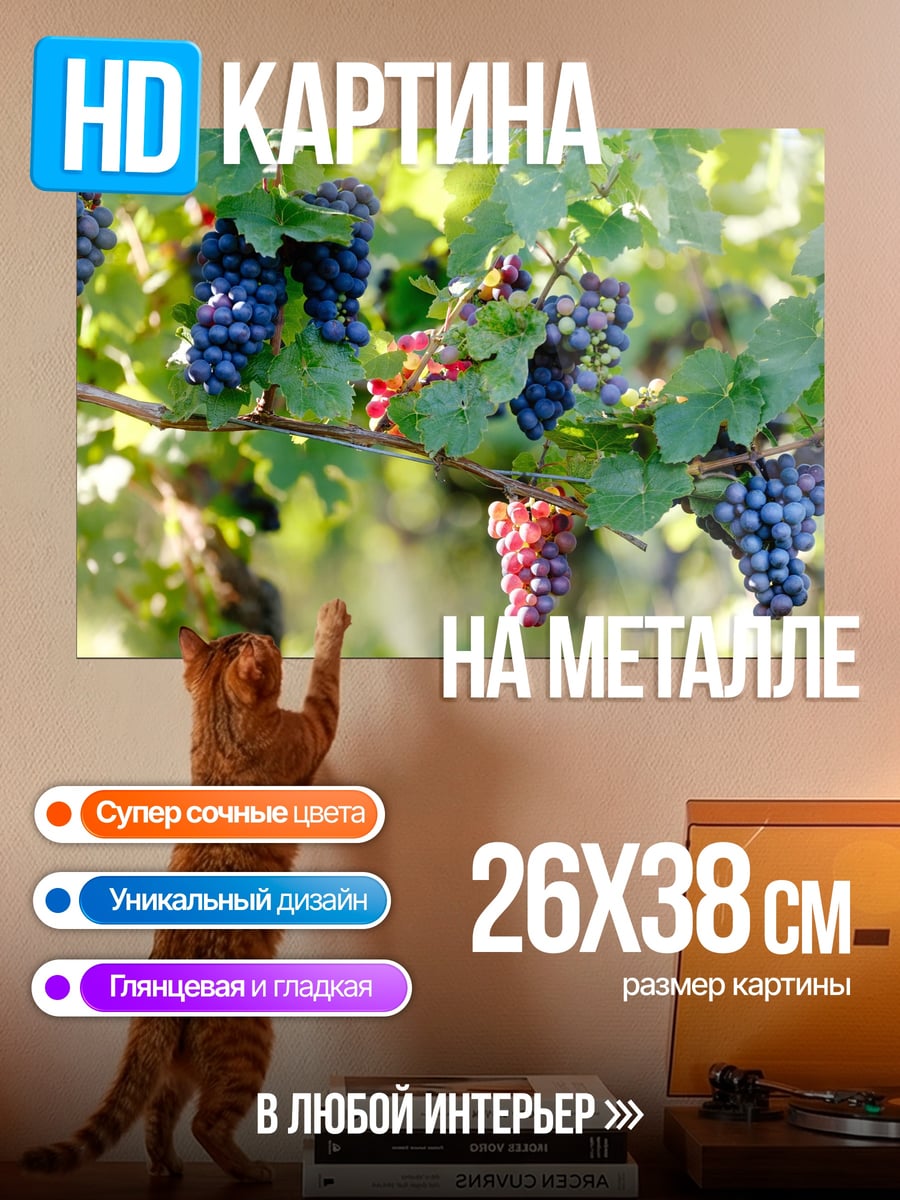 Картина на металле Виноградная лоза