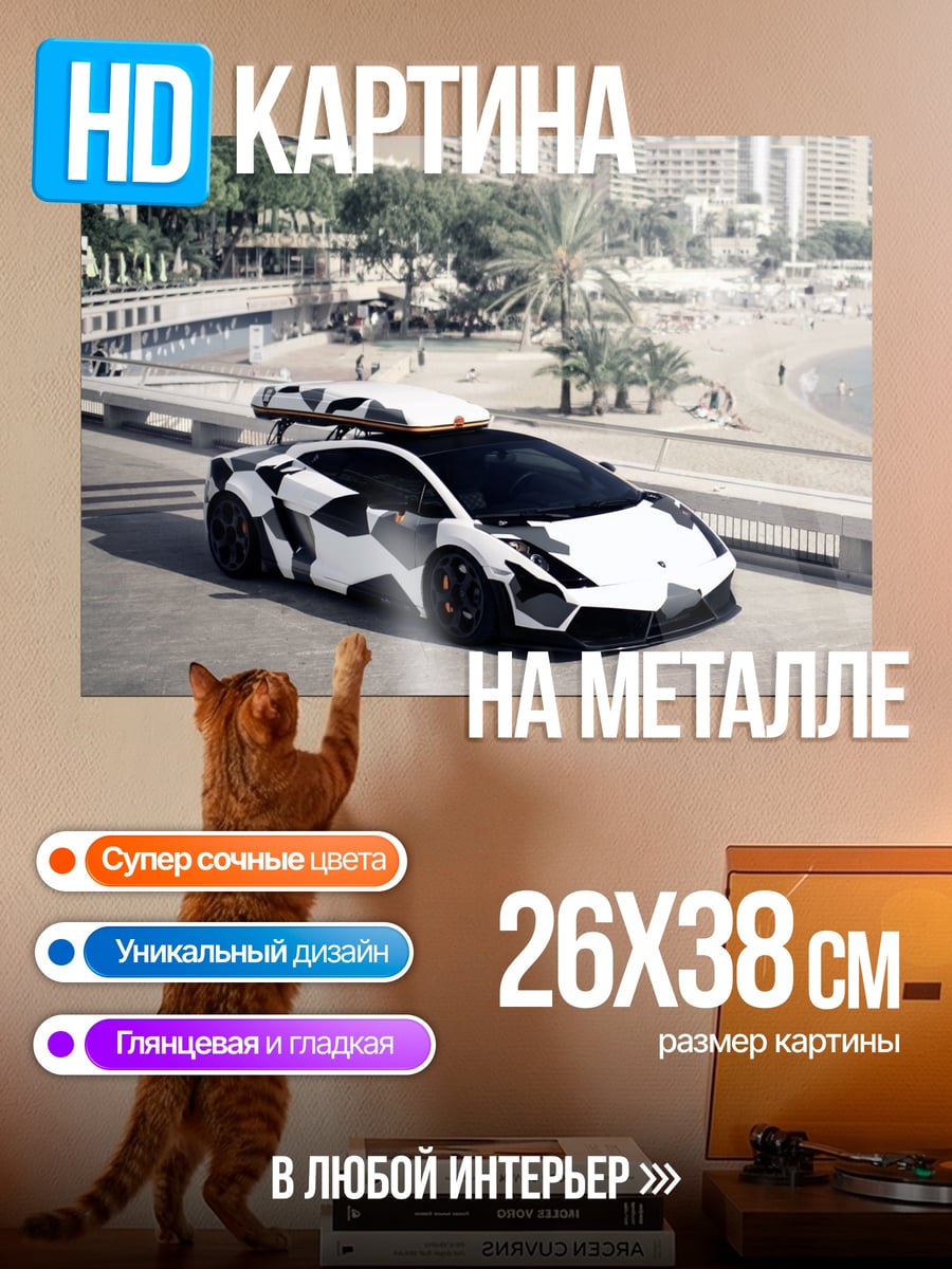 Картина на металле Спортивное авто камуфляж