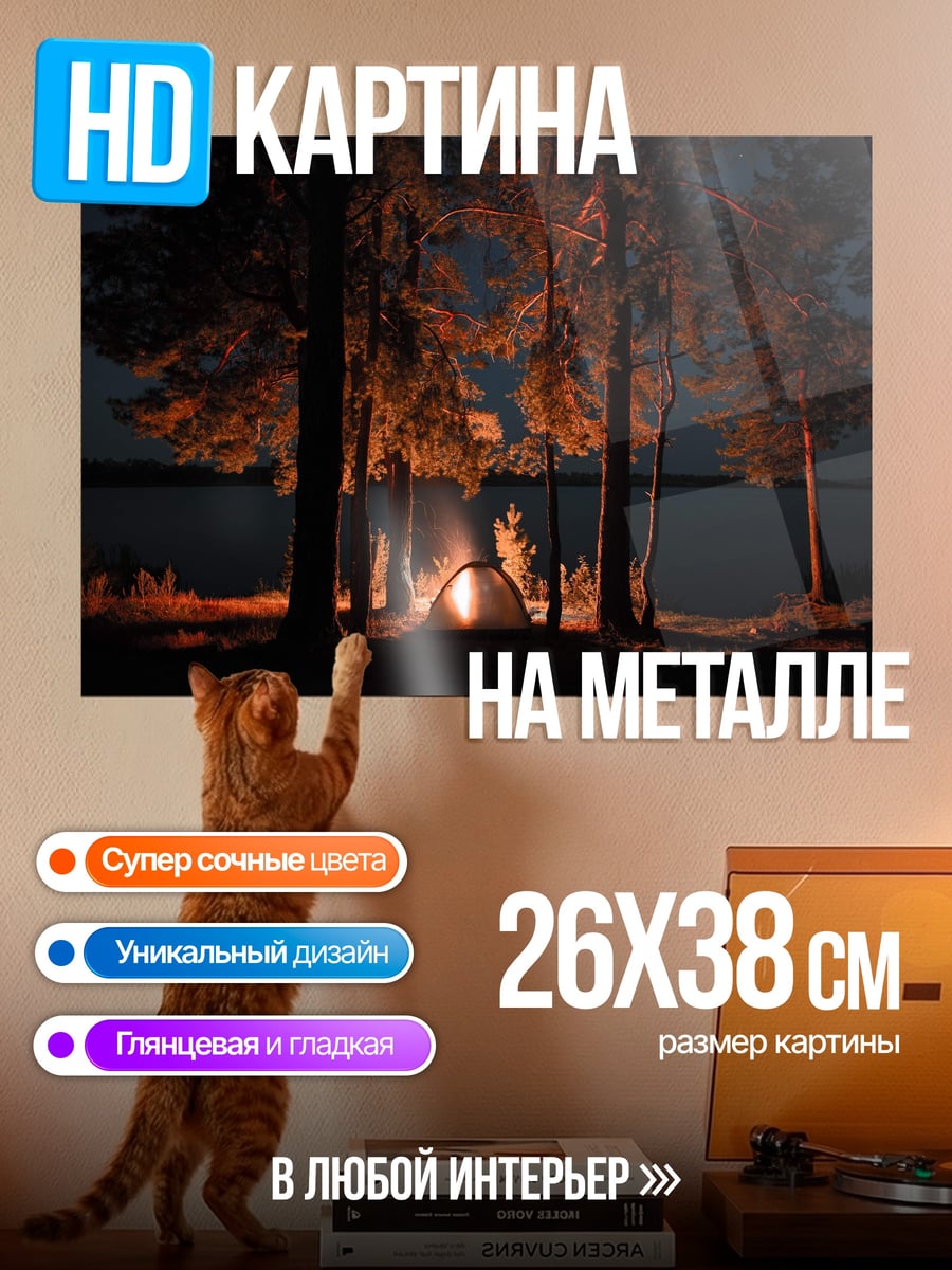Картина на металле ночной кемпинг