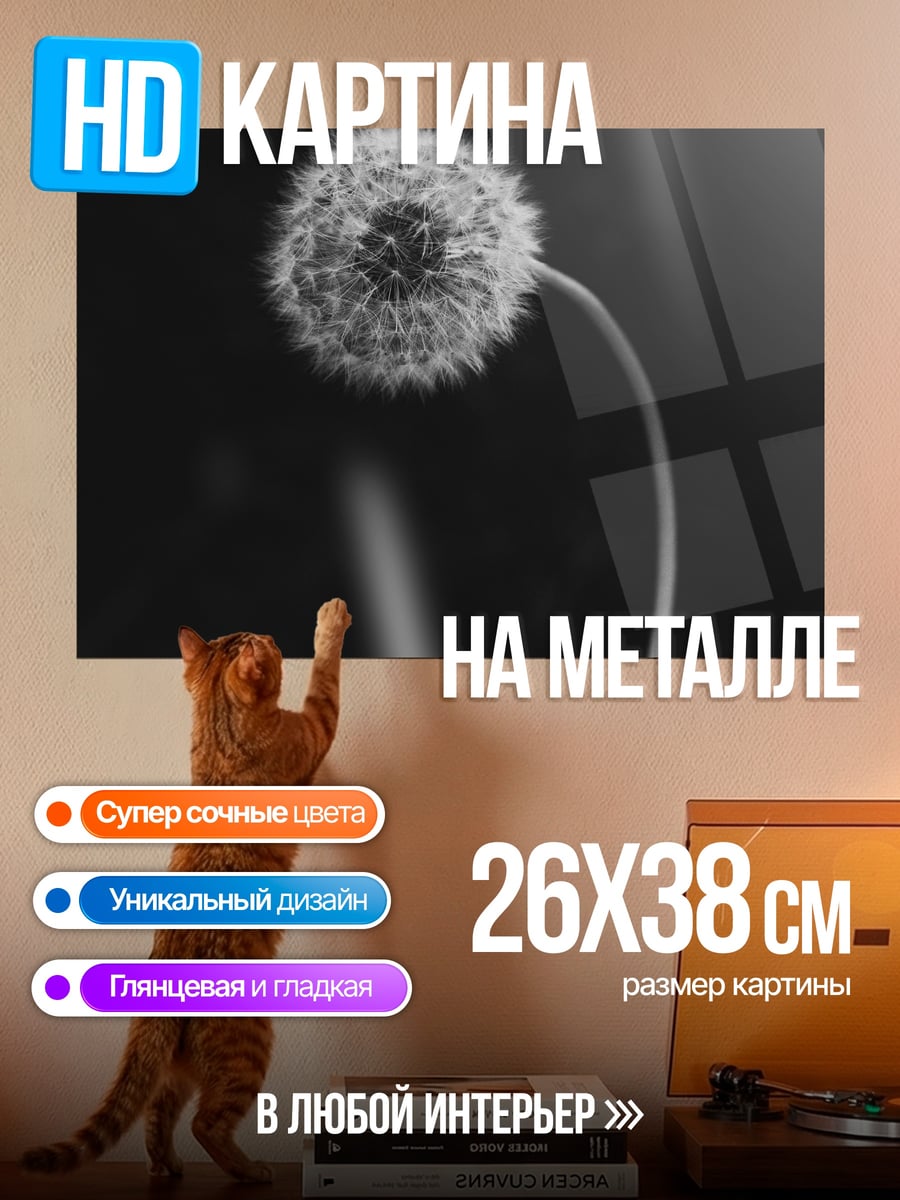 Картина на металле Одуванчик на черном фоне