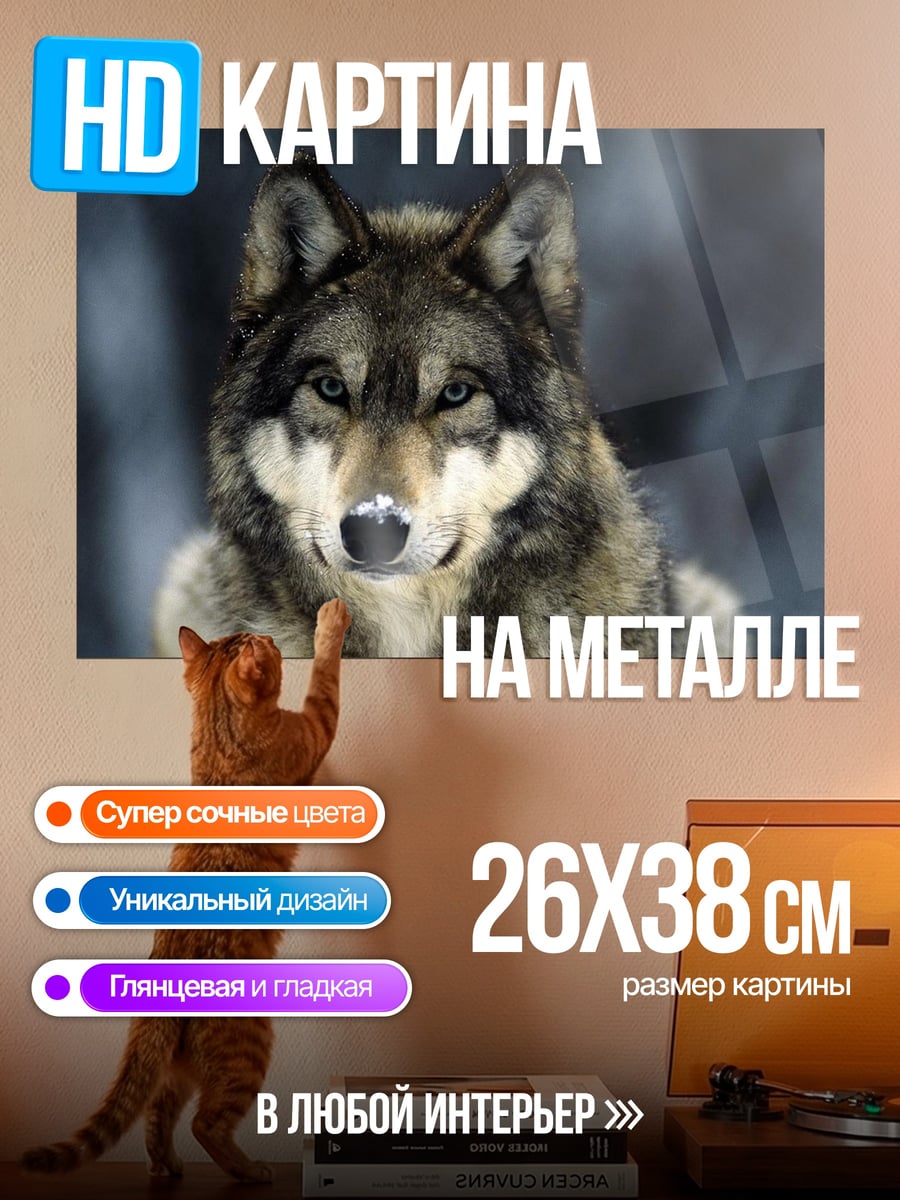 Картина на металле Портрет волка