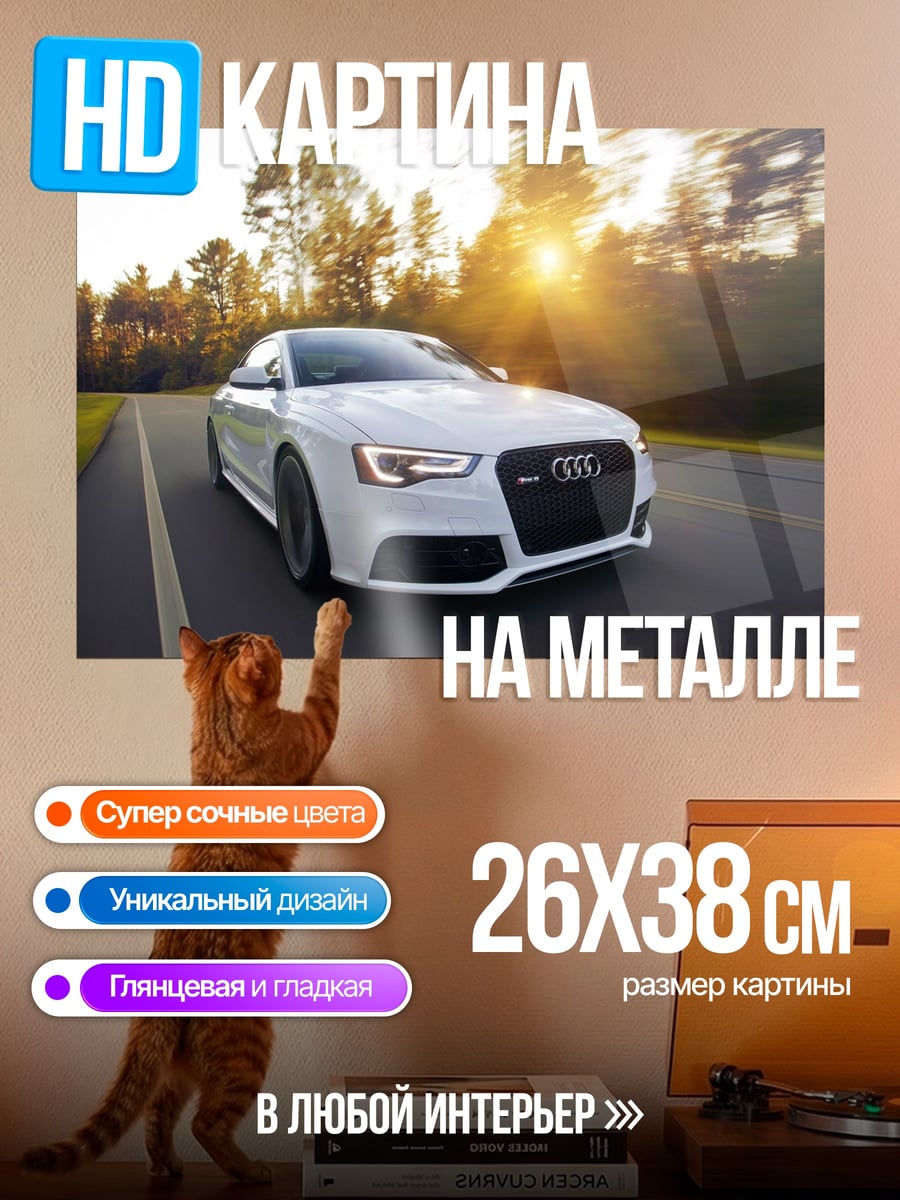 Картина на металле белый ауди на дороге