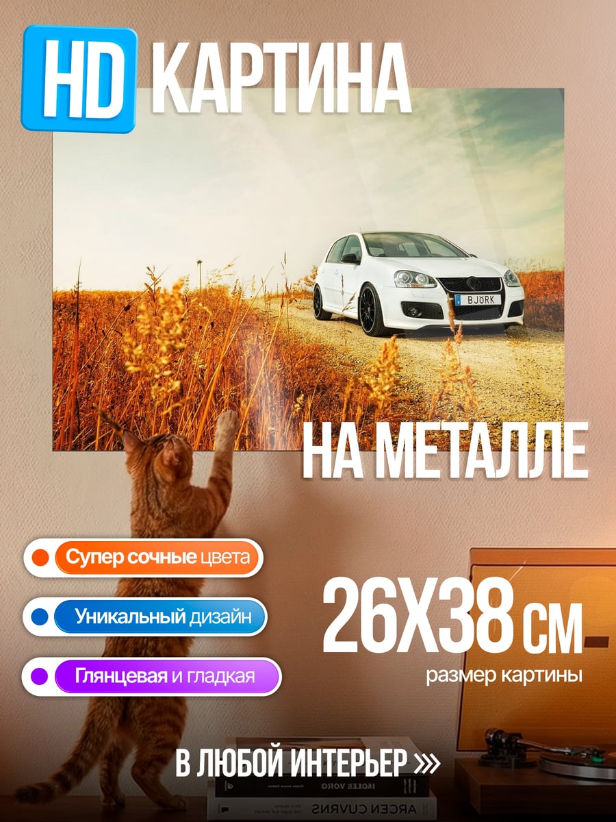 Картина на металле белый хэтчбек в поле