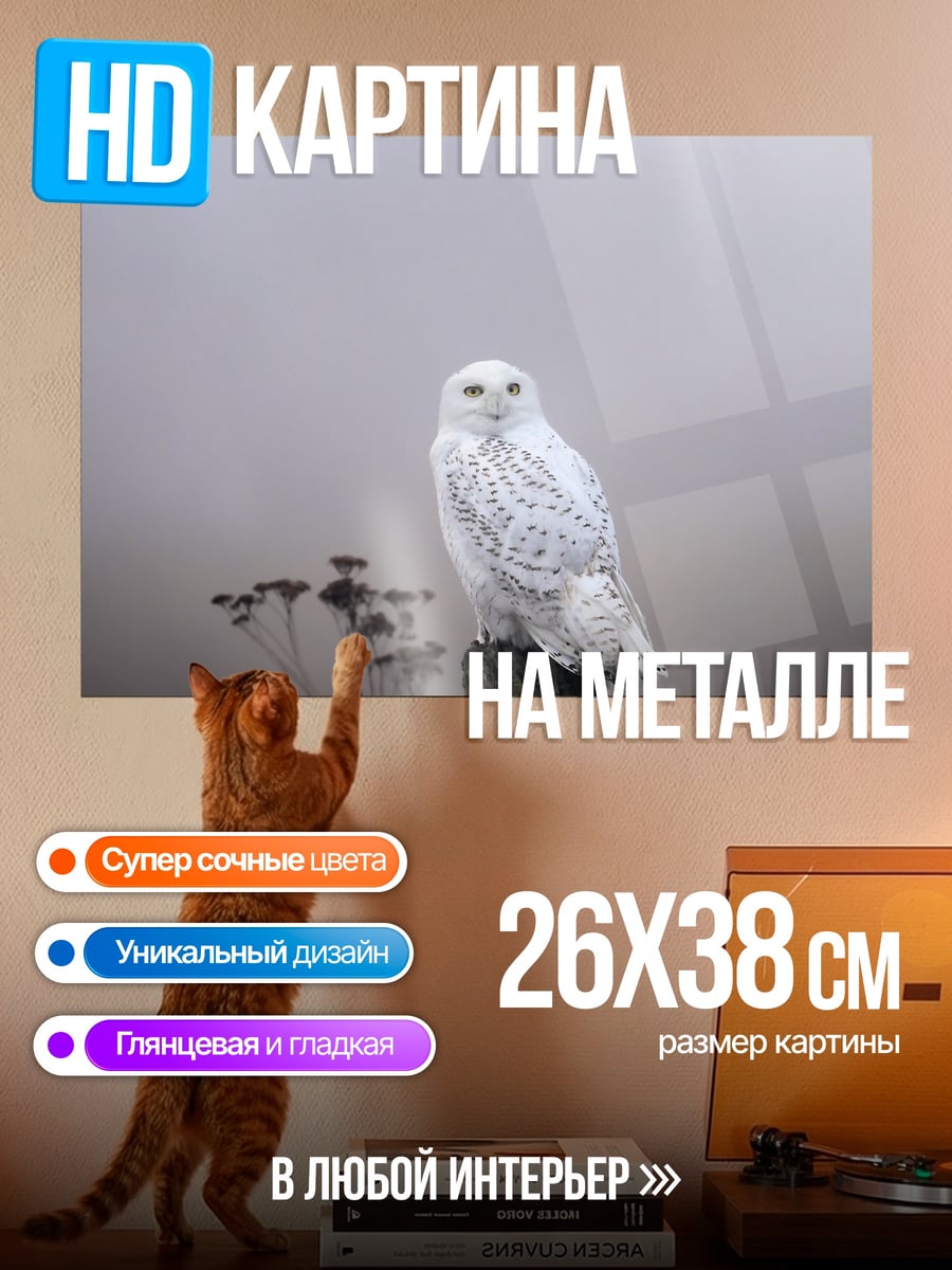 Картина на металле Белая сова туман