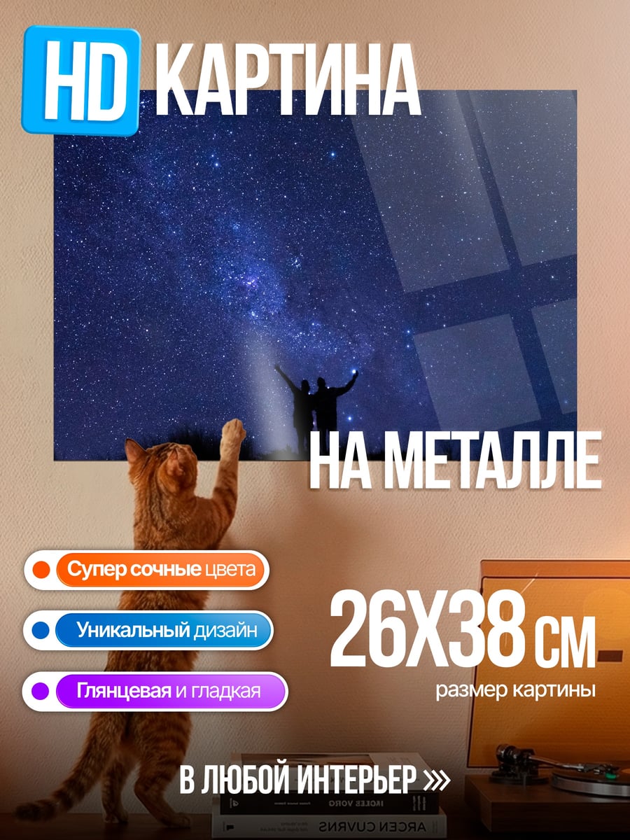 Картина на металле Звездная ночь пара