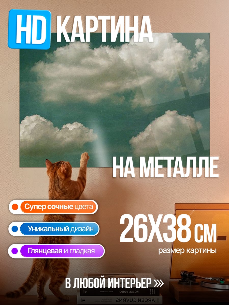 Картина на металле Велосипедист в облаках