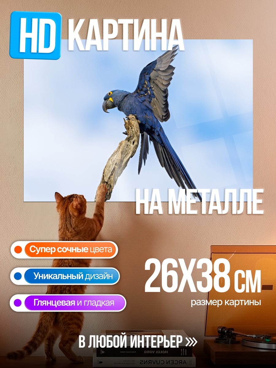 Картина на металле Синий попугай на ветке