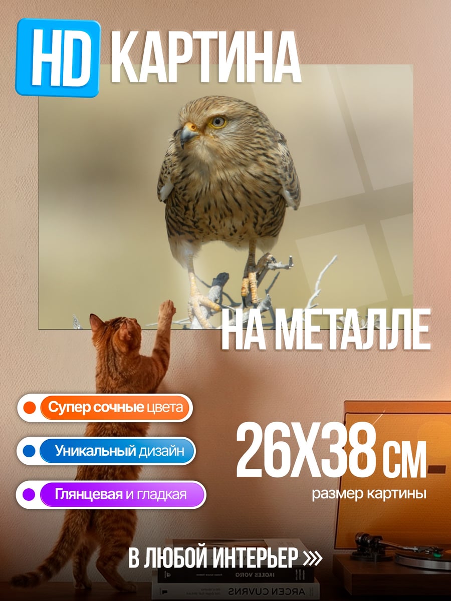 Картина на металле Пустельга на ветке