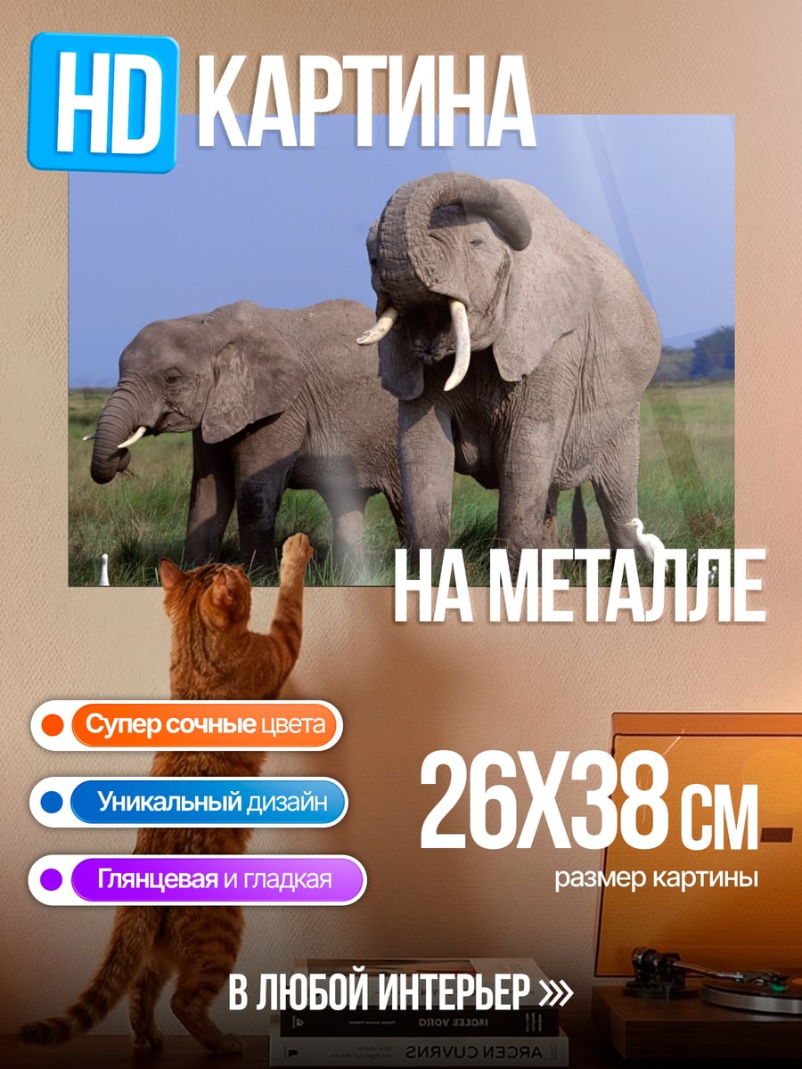 Картина на металле Два слона
