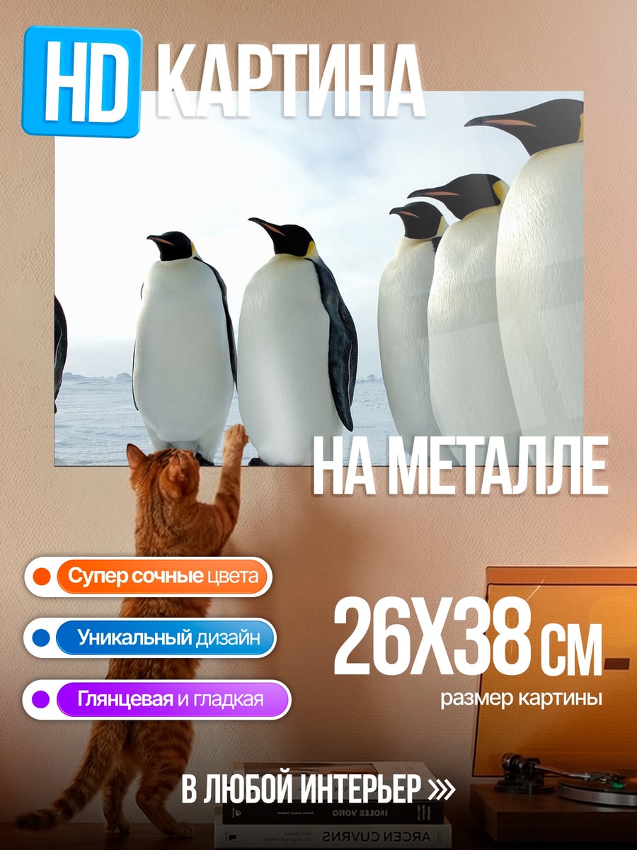 Картина на металле императорские пингвины