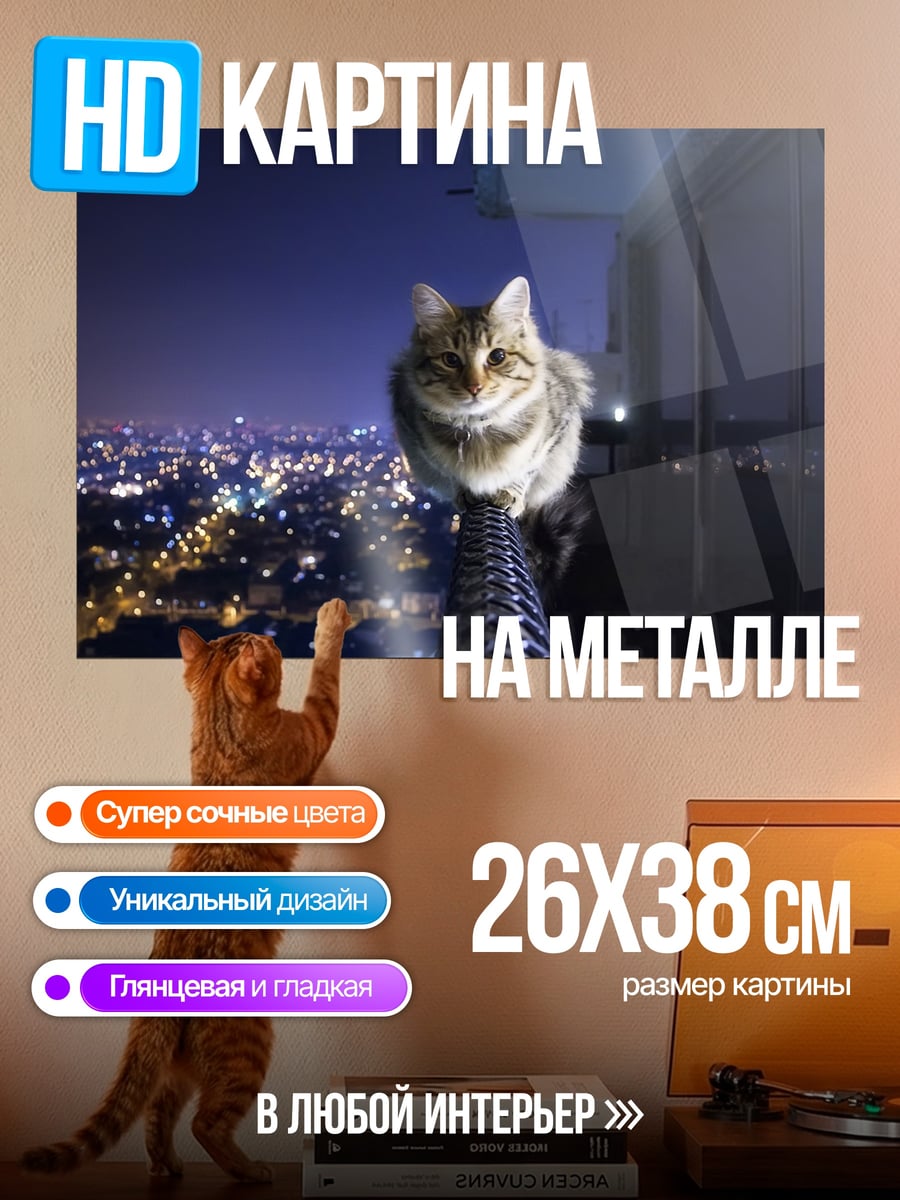 Картина на металле Кот на балконе