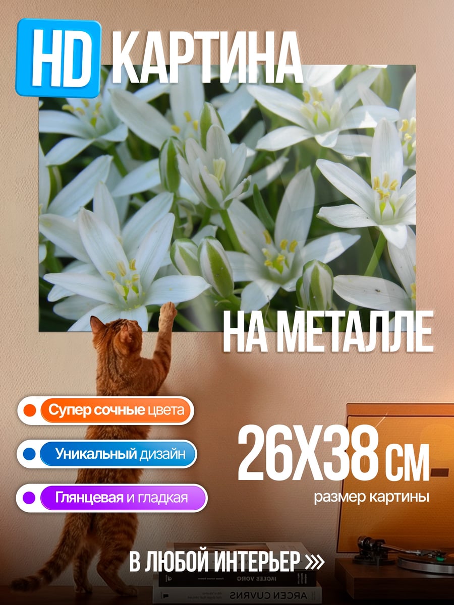 Картина на металле Белые цветы