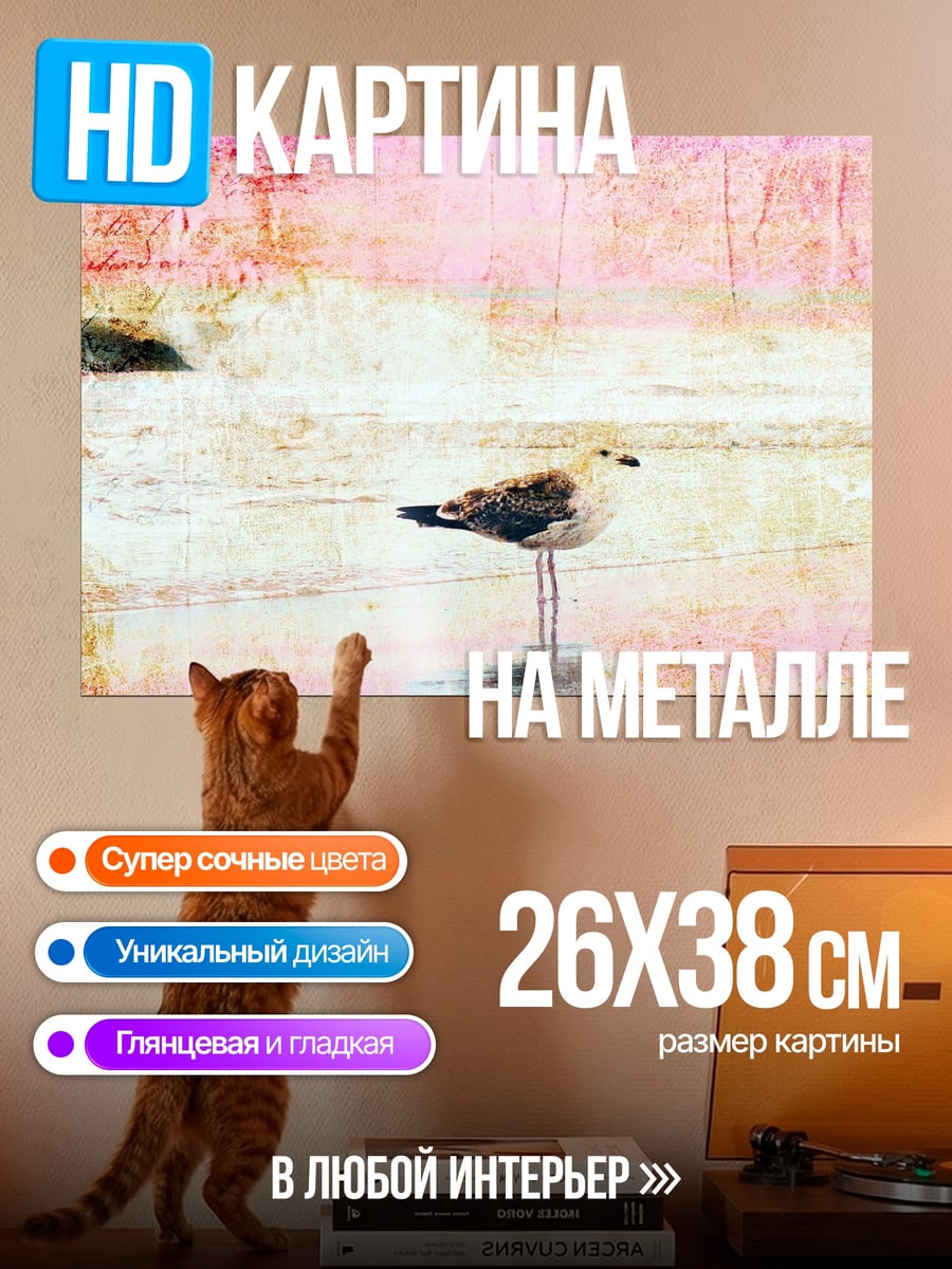 Картина на металле Чайка на берегу