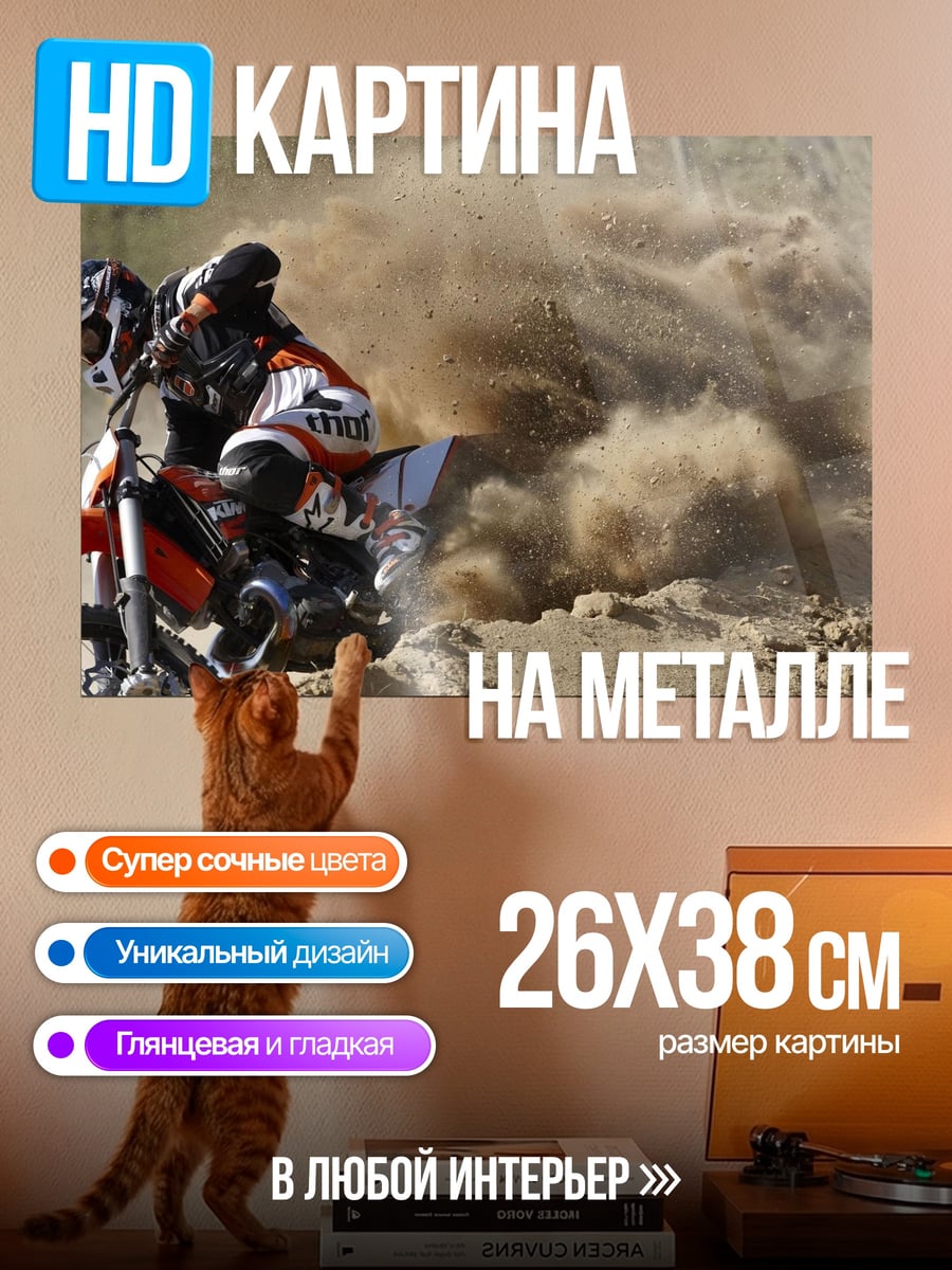 Картина на металле Мотокросс в пыли