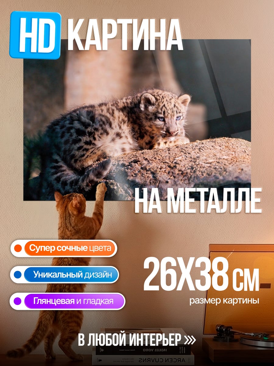 Картина на металле Снежный барс