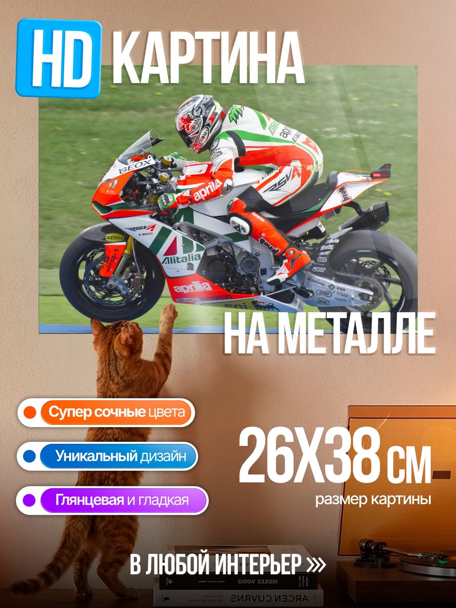 Картина на металле Гонщик на мотоцикле