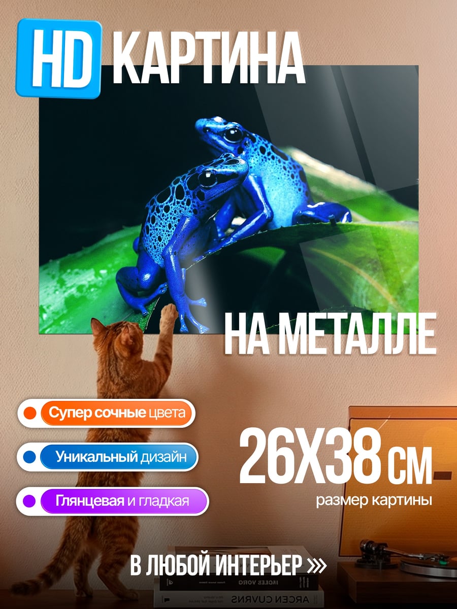 Картина на металле синие древесные лягушки