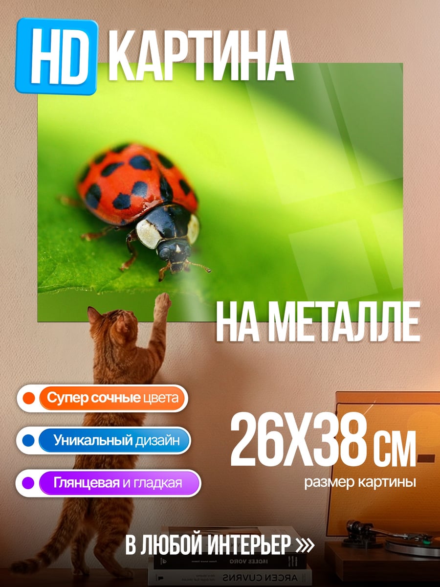 Картина на металле Божья коровка на листе