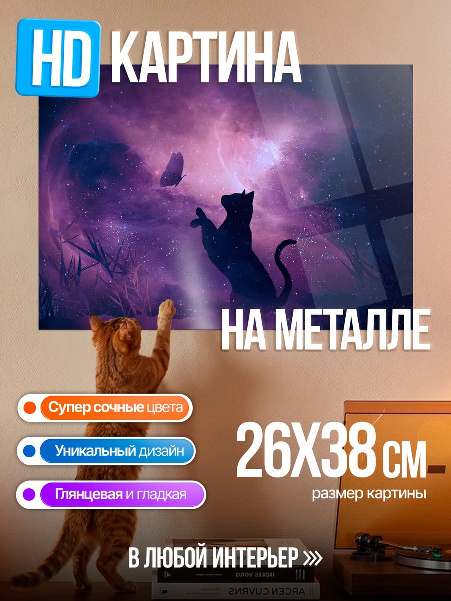 Картина на металле Черный кот космос
