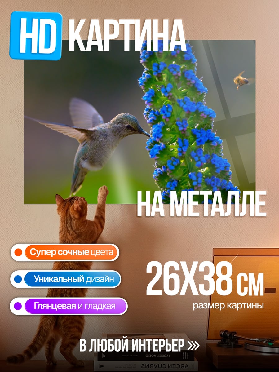 Картина на металле Колибри и пчела