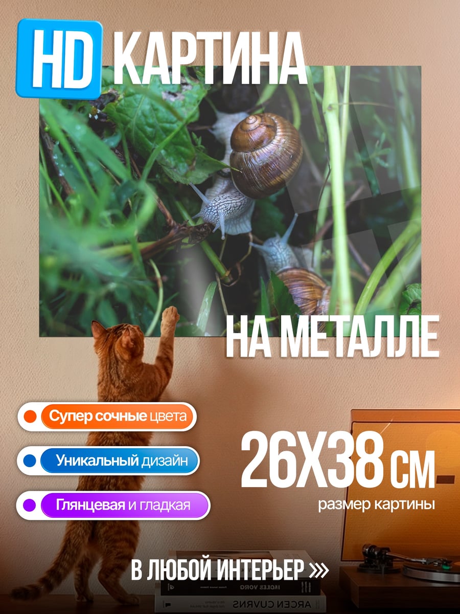 Картина на металле Улитки в траве