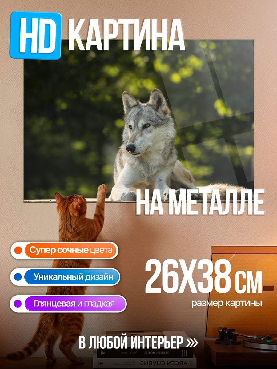 Картина на металле Волк на столе