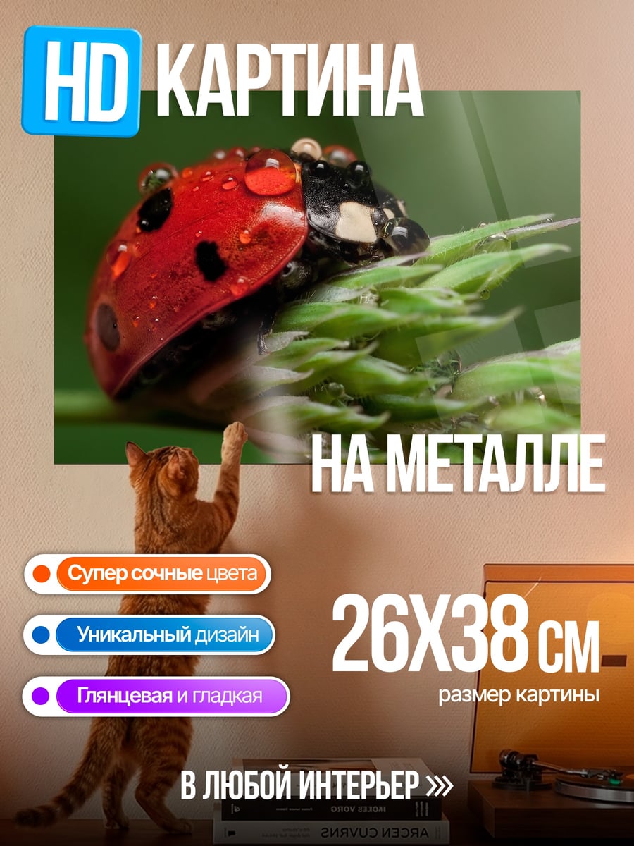Картина на металле Божья коровка в каплях